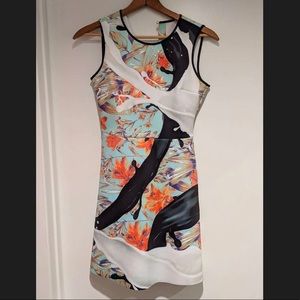 Clover Canyon neoprene dress spilled Milk & Tar